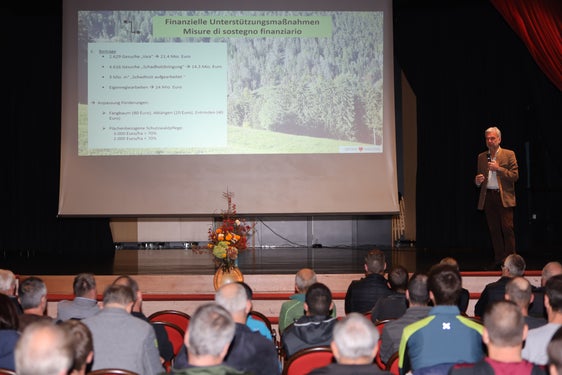 Über 800 Interessierte haben an den Infoabenden zum Borkenkäfer in Vahrn, Algund, Bruneck und Welschnofen teilgenommen. Eine weitere Veranstaltung ist am 7. Dezember in Mals geplant. (Foto: LPA/Martin Geier) 