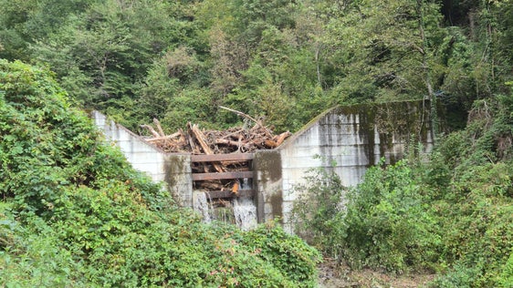 Detriti galleggianti e legname selvatico hanno riempito un bacino di ritenzione nel rio della Clava; la struttura protettiva ha svolto appieno la sua funzione, trattenendoli. (Foto: USP/Ufficio Sistemazione bacini montani ovest/Jan Kobald)
