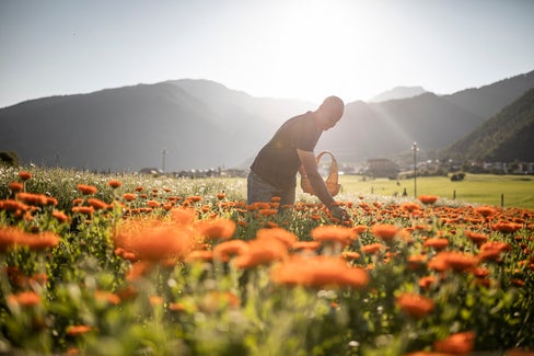 Nachhaltige Landwirtschaft in Südtirol fördern: Das ist das Ziel des Projekts Nachhaltige Landwirtschaft – Leitsätze und Leuchttürme. (Foto: IDM/Armin Huber)