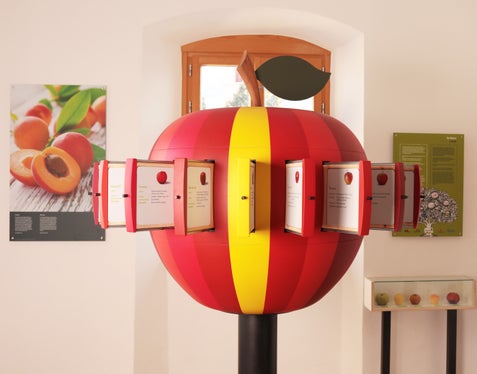 Das Südtiroler Obstbaumuseum in Lana (Foto: Obstbaumuseum Lana/Simon Abler)
