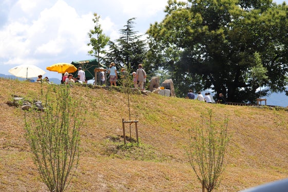 Il 1° marzo sono state piantate circa 300 siepi e 30 alberi. Grazie a questo imponente lavoro, le ragazze e i ragazzi della 4C del Liceo scientifico di Merano riceveranno il Premio Scopoli, dedicato al botanico Johann Anton Scopoli (Foto: ASP/Maja Clara)