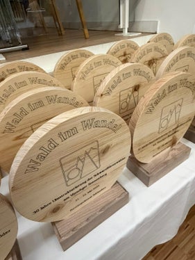 Mit dem Projekt am Vinschger Sonnenberg soll langfristig die Schutzfunktion, Stabilität und ökologische Vielfalt der Wälder gestärkt werden. (Foto: LPA/Tobias Erschbamer)