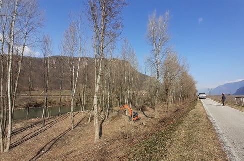 Das Landesamt für Wildbach- und Lawinenverbauung Süd hat mit den gewohnten Pflegearbeiten an der bachbegleitenden Ufervegetation der Etsch und ihren Seitenbächen begonnen. Die Vegetation kann in manchen Fällen ein Hindernis für den Abfluss bei Hochwasser darstellen. (Foto: LPA/Landesamt für Wildbach- und Lawinenverbauung Süd)