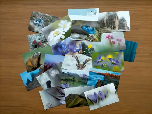 Besonders eindrucksvolle Fotos machen die neue Postkartenserie zu einem netten Gruß aus dem Urlaub oder einem Mitbringsel für Zuhause. (Foto: Landesamt für Natur/Simon Perathoner)