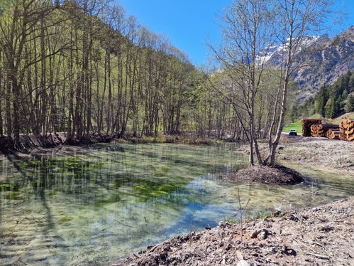 Mit der Vergrößerung des Teichs entstand am Toffringbach ein strukturreicher Lebensraum für Frösche und Vögel. (Foto: LPA/Landesamt für Wildbach- und Lawinenverbauung Nord in der Agentur für Bevölkerungsschutz)