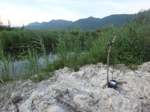 Mit Hilfe von automatisierten Aufnahmegräten, so genannten Batdetektoren, werden Fledermäuse auf dem Weg durch die Nacht „belauscht“. Dadurch bekommen die Forscher Hinweise auf die Jagdgebiete von Fledermäusen. (Foto: Eva Ladurner) 