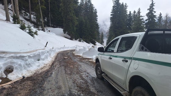 La neve sulle strade forestali ha dovuto essere rimossa dal Servizio strade. A causa dell'intervento, le strade forestali sono state sottoposte a forti sollecitazioni e ora devono essere riparate. (Foto: USP/Ispettorato forestale di Silandro)