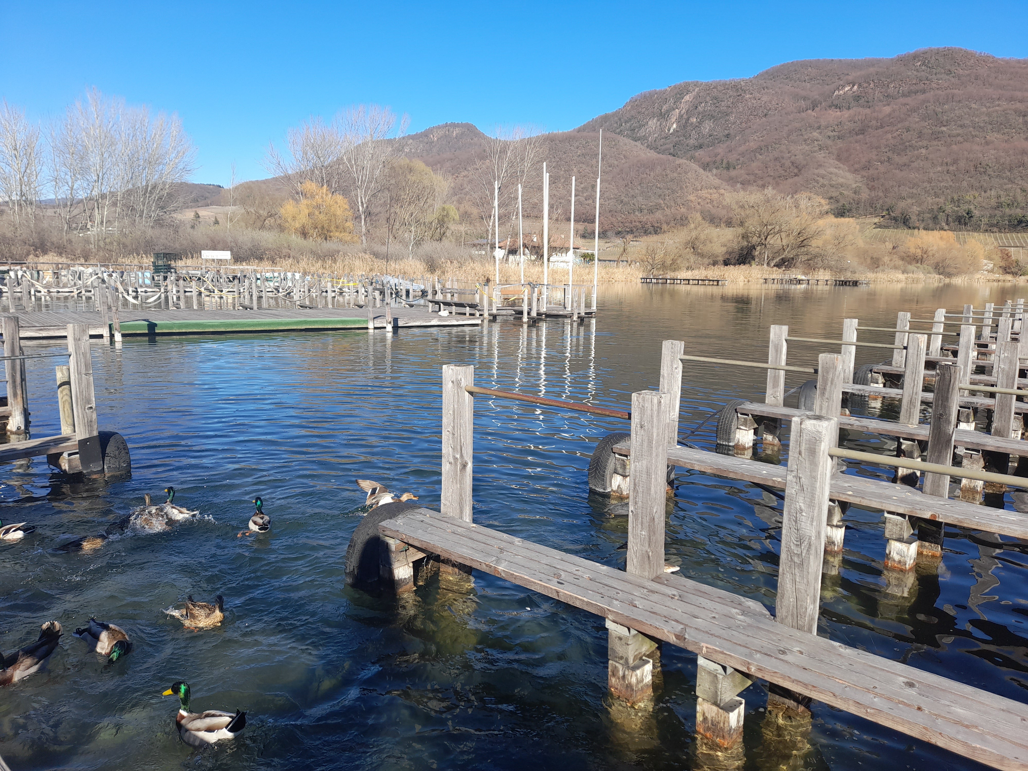 Una recente immagine del lago di Caldaro (Foto: ASP/Maja Clara)