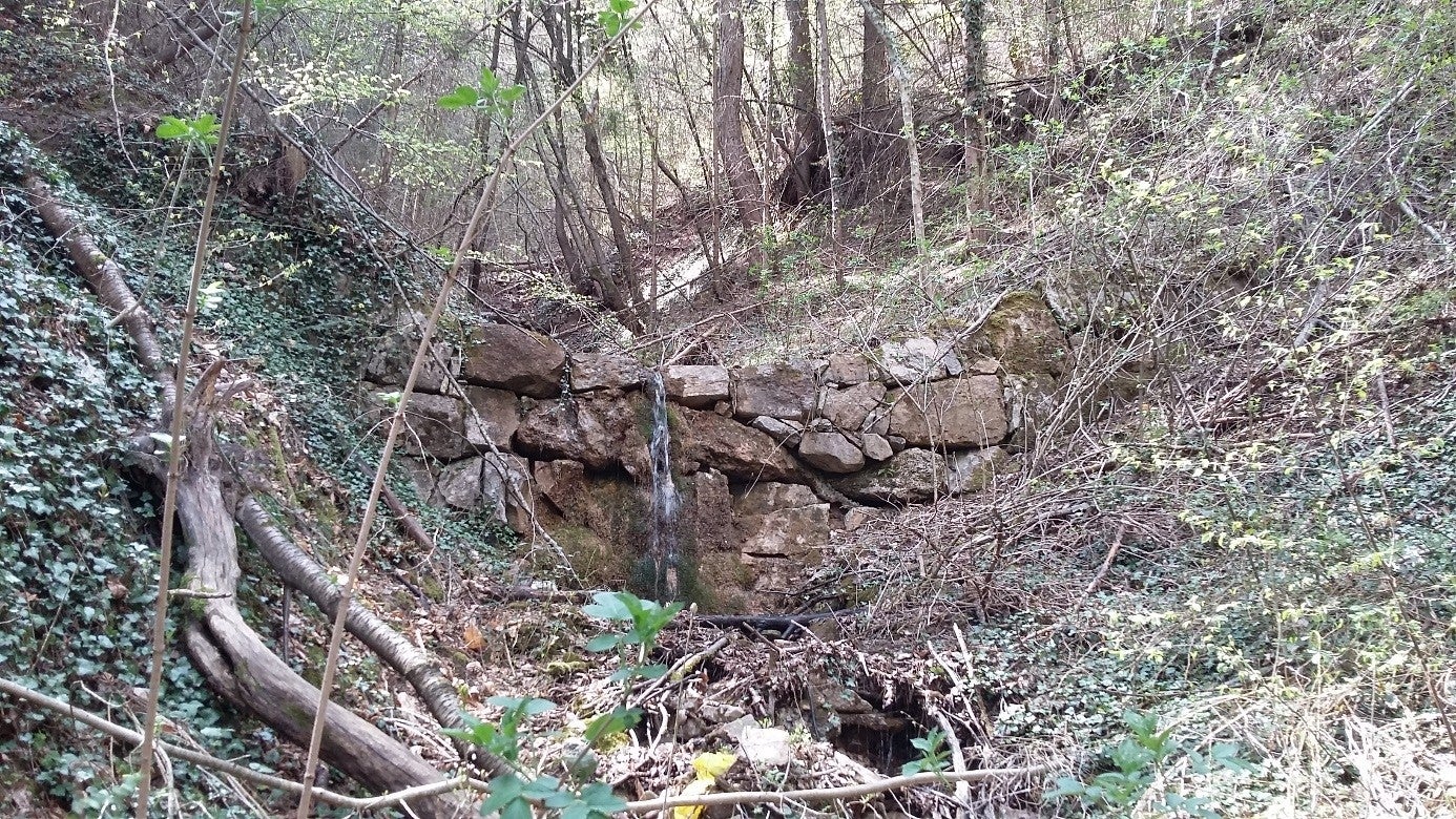 Im Steineggerbach oberhalb von Tisens befinden sich alte Konsolidierungssperren, die nahezu komplett zerstört sind. (Foto: LPA/Amt für Wildbachverbauung Süd)