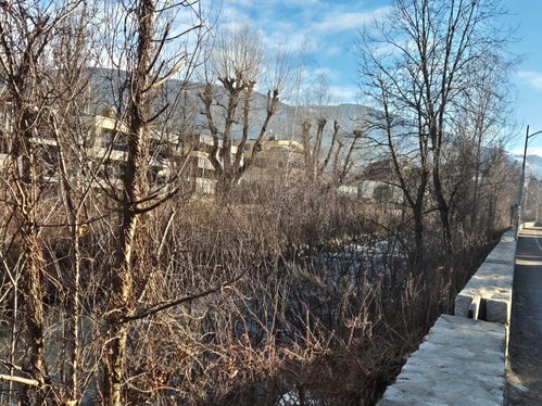 Durch den Rückschnitt übermäßiger Vegetation und das Entfernen von Wildholz halten die Arbeiter der Wildbachverbauung den Wasserlauf frei und reduzieren dadurch das Risiko, dass Bachläufe über die Ufer treten. Zwei Wochen lang führt die Wildbachverbauung jetzt Schlägerungs- und Uferpflegearbeiten entlang der Rienz im Stadtgebiet Bruneck durch. (Foto: LPA/Landesamt für Wildbach- und Lawinenverbauung Ost/Hubert Brugger)