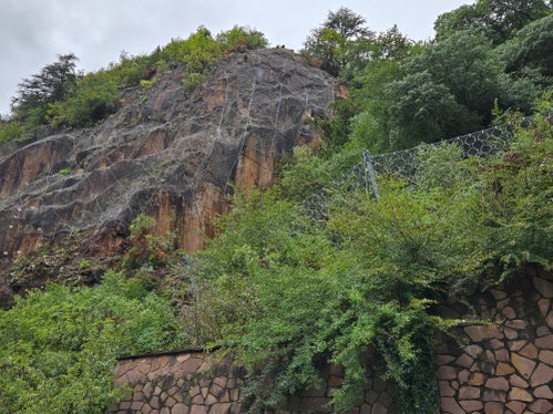 1000 metri quadrati di reti metalliche e 300 metri lineari di recinzioni di protezione contro la caduta massi sul pendio sopra la via Fago, all'altezza del centro di riabilitazione di Bolzano, proteggono ora dalla caduta massi. (Foto: USP/Agenzia Demanio provinciale)
