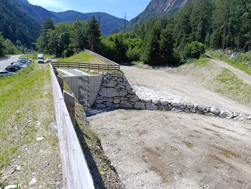 A completamento della sistemazione, quest’anno sono state messe a dimora quasi 2.000 piantine di latifoglie arbustive ed arboree. (Foto: Ufficio Sistemazione Bacini montani Nord)