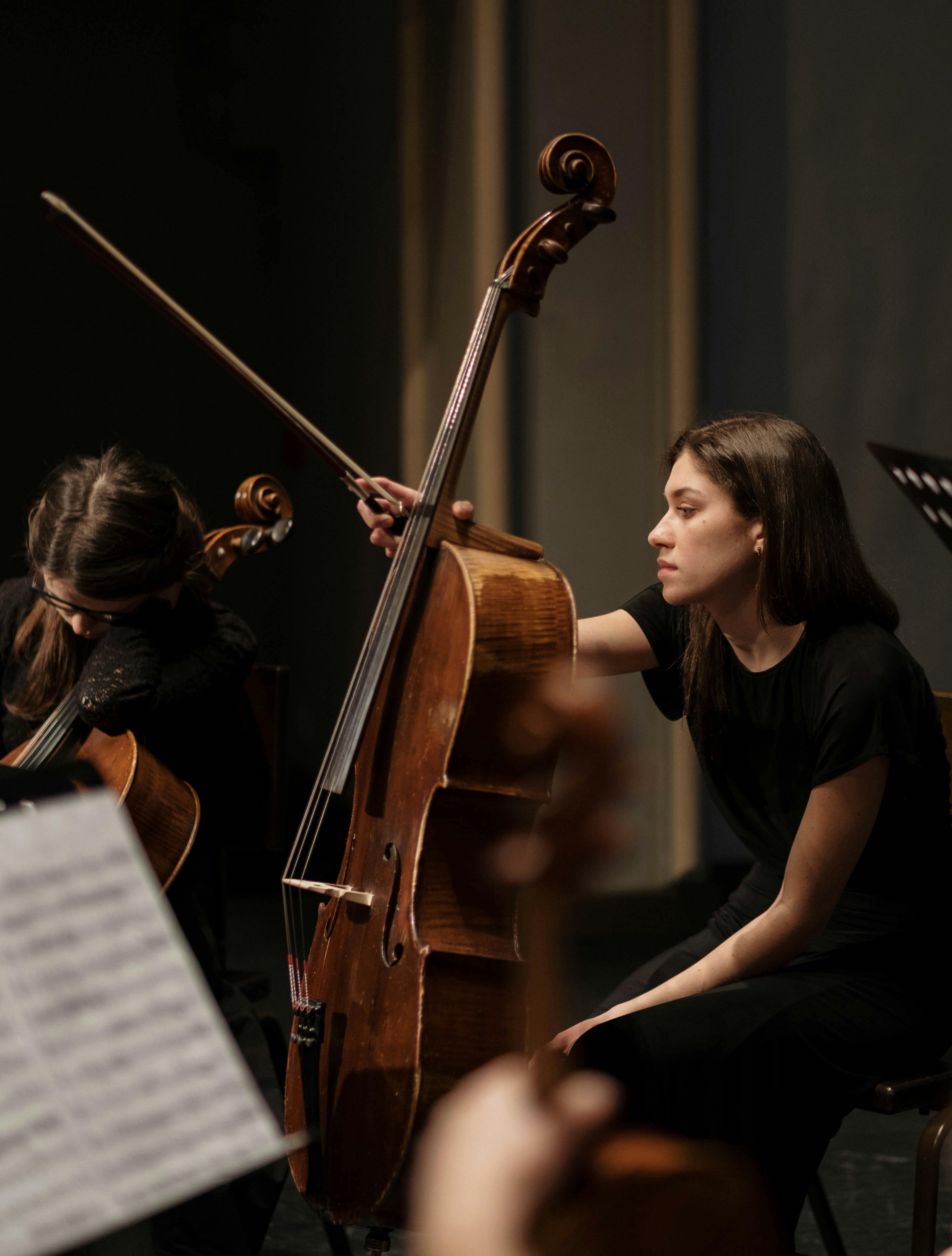 Al via oggi (4 marzo) all’Europahaus di Mayrhofen il concorso prima la musica per 240 giovani musicisti altoatesini (Foto: ASP/Pexels)