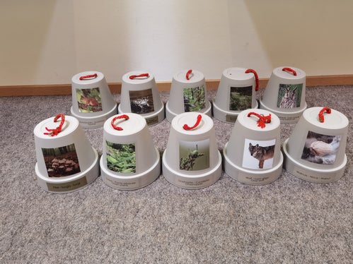 I visitatori della mostra Mangiare ed essere mangiati al centro visite Gruppo di Tessa a Naturno scoprono in modo attivo quali sono le prede ed i predatori. (Foto: ASP/Ufficio natura)