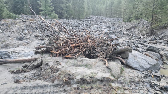 Nach einer ersten Schätzung der Wildbachverbauung hat der Rosimbach bei Sulden gestern bis zu 30.000 Kubikmeter Material mitgeführt. (Foto: LPA/Landesamt für Wildbach- und Lawinenverbauung West)