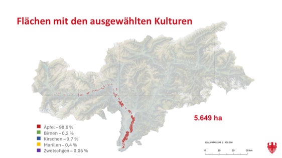 Auf diesen Flächen ist ein Anbringen von Agrivoltaik-Anlagen möglich: Es handelt sich um Obstkulturen, die in der Talsohle (maximal 75 Meter über Etsch oder Eisack) liegen. (Foto: LPA)