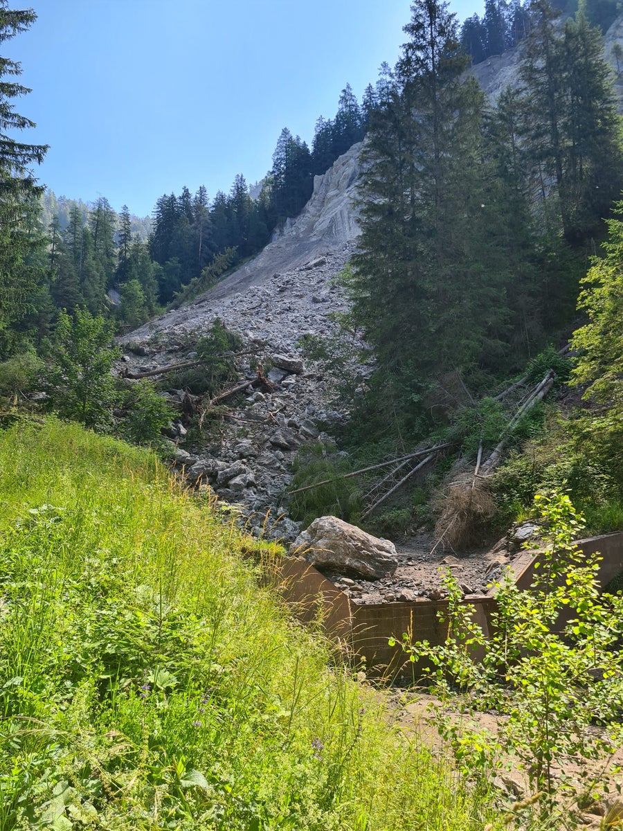 Dopo la frana di domenica notte, migliaia di metri cubi di materiale si sono depositati nel rio Cor, tra cui grandi sassi e alberi. (Foto: Ufficio Sistemazione bacini montani Est)