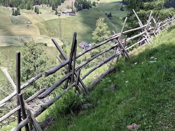 Zahlenmäßig am meisten Gesuche wurden 2026 für die Errichtung und Erhaltung traditioneller Holzzäune eingereicht, wofür die Landesverwaltung etwa 530.000 Euro bereitgestellt hat. (Foto: LPA/Horand I. Maier)