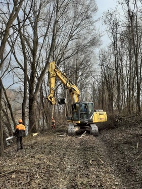 Mit der Uferpflege wird der Hochwasserschutz gesichert und ein vielfältiger Lebensraum für Pflanzen und Tiere geschaffen. (Foto: LPA/Landesamt für Wildbach- und Lawinenverbauung Süd)