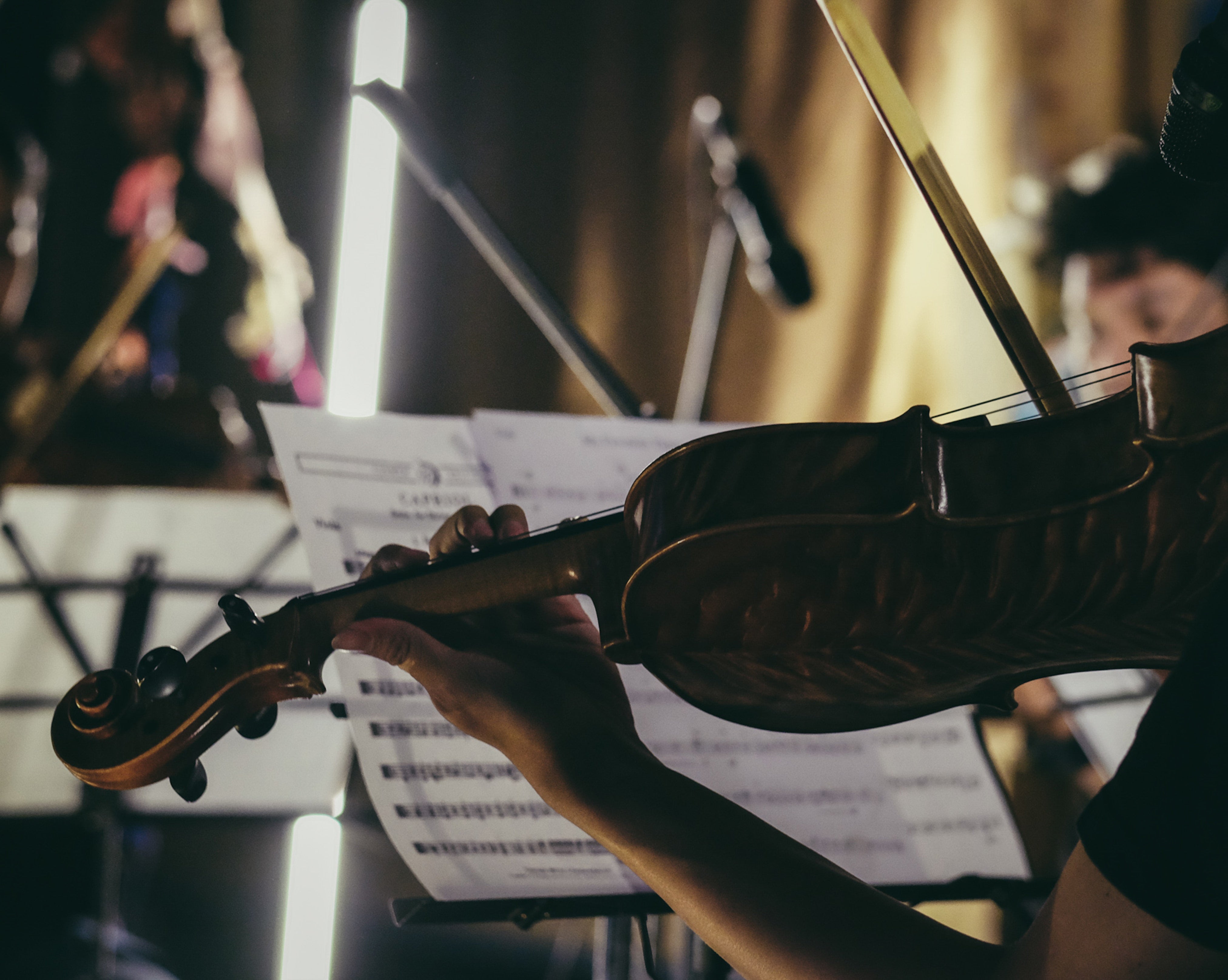 Anerkennung für die Musikschaffenden in Südtirol: Bozen ist eine der zwei italienischen Städte, die für das Unesco-Programm Creative Cities 2023 nominiert sind. (Foto: unsplash/julio rionaldo)