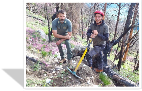 I lavori di rimboschimento sono coordinati dal personale forestale della Stazione forestale di Prato. (Foto: USP/Ispettorato forestale di Silandro)