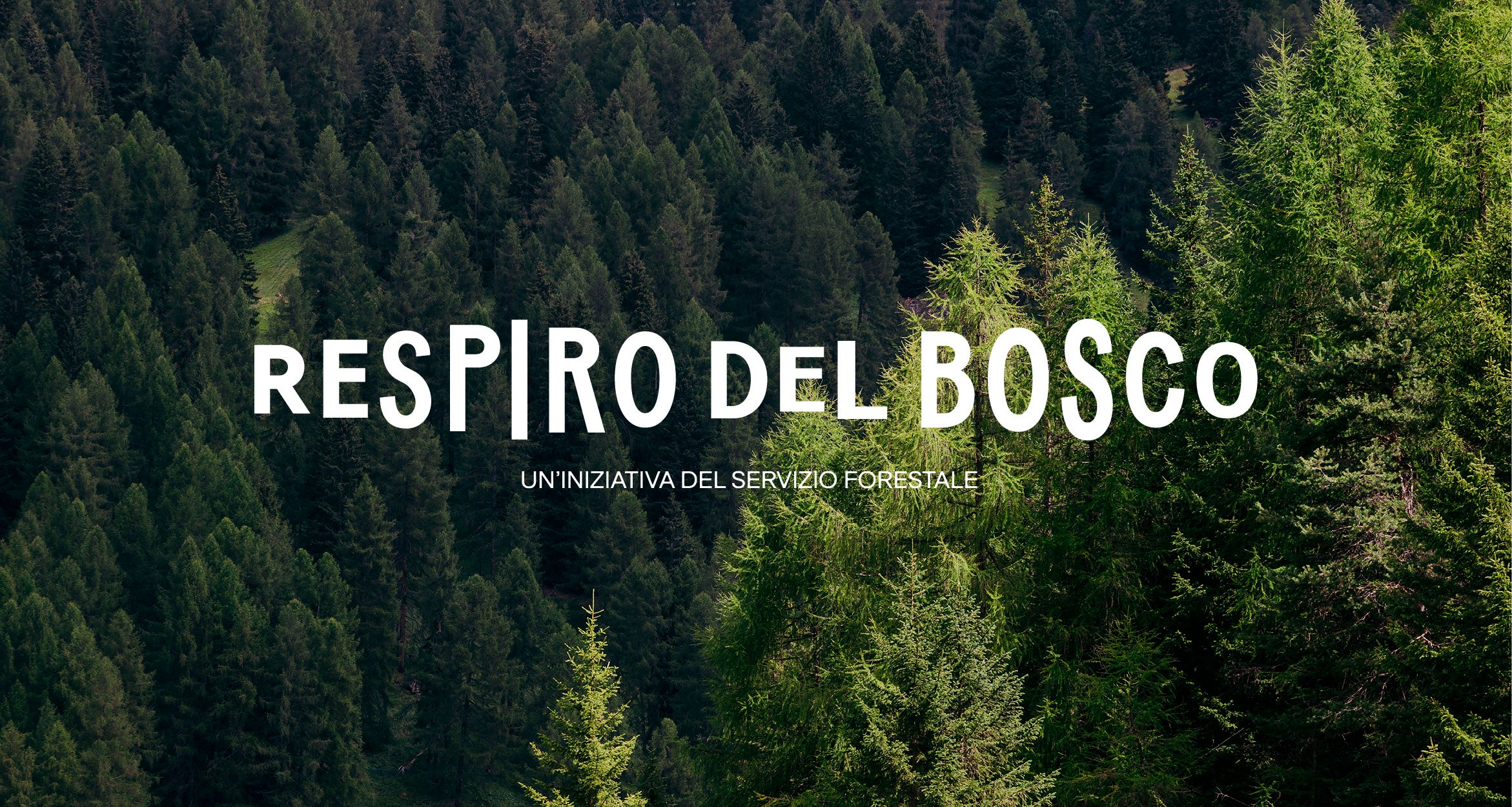 [external Link]: Respiro del bosco