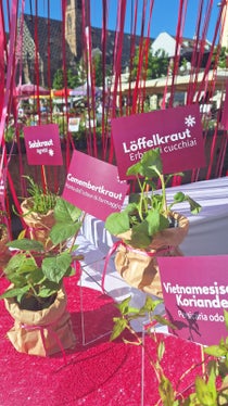 Sapori intensi e sorprendenti allo stand della scuola al mercato dei fiori di Bolzano. (Foto: USP/Scuola professionale per l'economia domestica e agroalimentare Aslago)