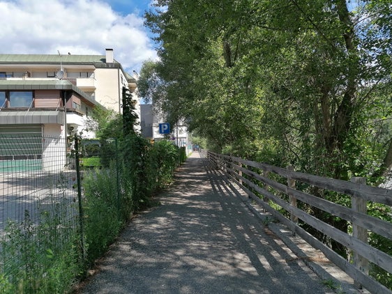 Diese schnellwachsenden Pappeln gefährden die Sicherheit des Radweges entlang des Eisacks in Brixen auf der Höhe der Busgarage. (Foto: LPA/Landesamt für Wildbach- und Lawinenverbauung Nord)