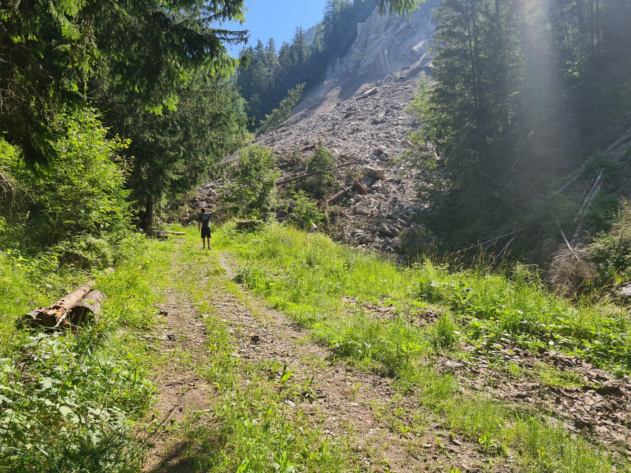 In der Nacht auf Sonntag sind Tausende Kubikmeter Material in das Bachbett des Pikoleinbachs in der Gemeinde St. Martin in Thurn im Gadertal niedergegangen; das Landesamt für Wildbachverbauung Ost geht nach einem Lokalaugenschein an die Umsetzung einer provisorischen Schutzmaßnahme. (Foto: LPA/Landesamt für Wildbach- und Lawinenverbauung Ost in der Agentur für Bevölkerungsschutz)