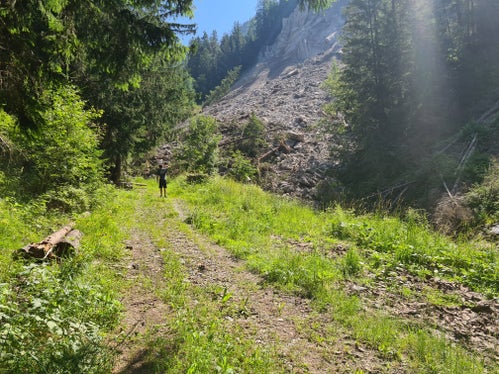Nella notte di domenica, migliaia di metri cubi di materiale sono caduti nel letto del rio Coro, nel Comune di San Martino in Badia; in seguito a un sopralluogo, l'Ufficio Sistemazione bacini montani Est sta attuando alcune misure di protezione provvisorie. (Foto: Ufficio Sistemazione bacini montani Est)