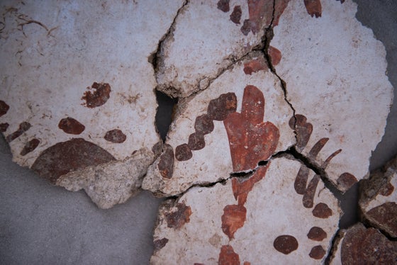 Nell'atrio di Palazzo Rottnbuch i visitatori hanno potuto ammirare vari reperti archeologici. (Foto: ASP/Claudia Corrent)