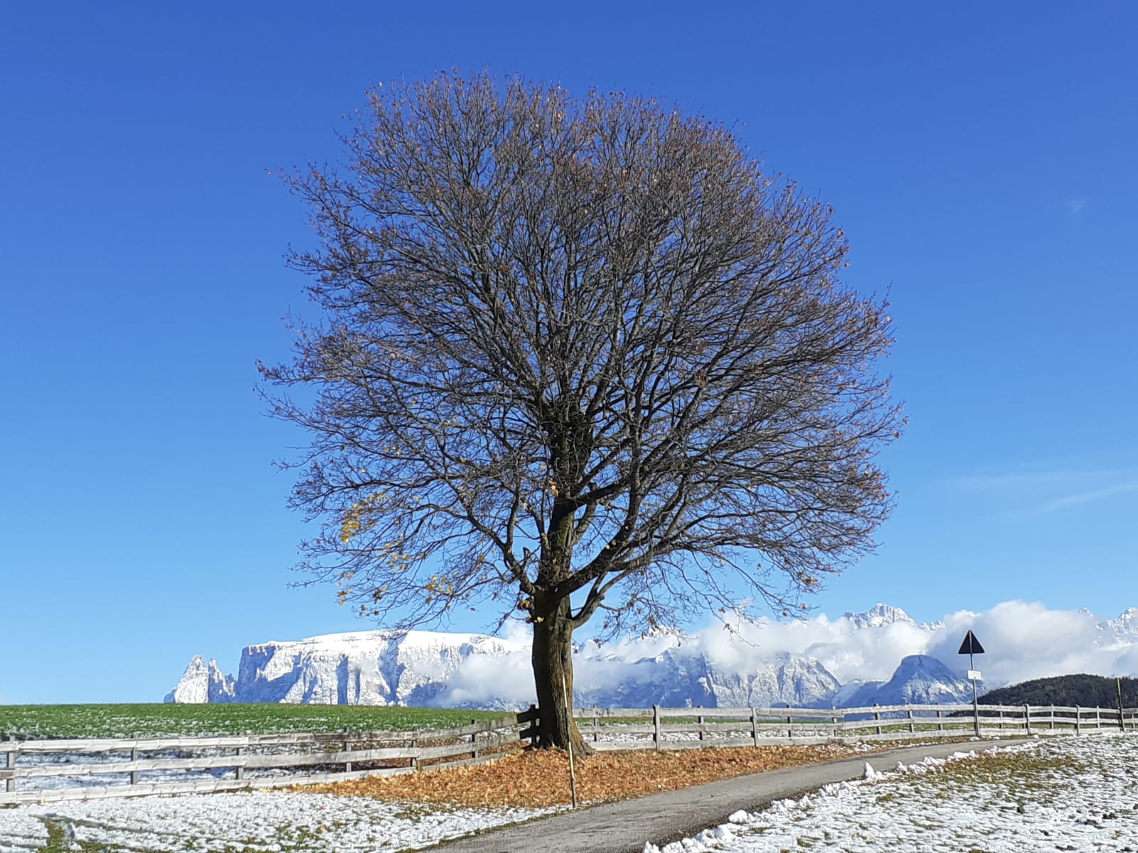 Il mese di novembre è iniziato con forti nevicate. La foto è stata scattata il 6 novembre a Bolzano (Foto: ASP/Maja Clara)