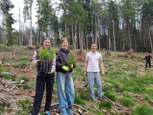 Alberi per il futuro: studenti di una delle due classi di maturità del Liceo linguistico e scientifico di Brunico che partecipano al progetto con diverse conifere, larici e pini. (Foto: USP/Stazione forestale di Brunico)