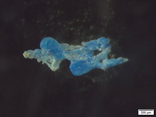 Um Mikroplastik zu dokumentieren, hat die Landesagentur für Umwelt und Klimaschutz zwischen November 2021 und Dezember 2022 ein Monitoring durchgeführt. (Foto: LPA/Landesagentur für Umwelt und Klimaschutz)