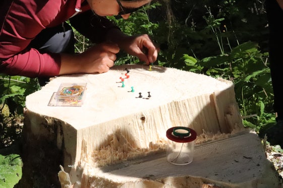 Wie berechne ich das Alter eines Baumes? Was kann ich anhand der Jahresringe vermitteln: Was geschah in diesem Jahr? Was in diesem? Die gefällte Fichte war 100 Jahre alt. (Foto: LPA/Maja Clara)