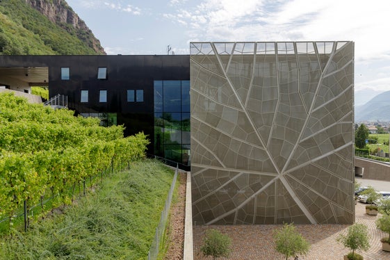 Ein besonderer Rahmen für die Bilanzpressekonferenz: Die Kellerei Bozen. Architektonisch schmiegt sich das Bauwerk in den Hang, der Bau ist aber auch Ausdruck von erfolgreicher Weinwirtschaft. (Foto: LPA/Tiberio Sorvillo)