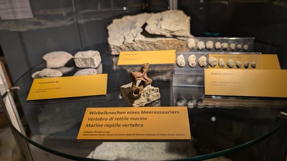 Das Naturdenkmal Bletterbach bildet eines von neun Teilgebieten des Dolomiten UNESCO Welterbes. Mit Beschluss der Landesregierung vom 30. Oktober wird die Finanzierung und Führung des Besucherzentrums neu aufgestellt. (Foto: LPA/Vera Brunetti)
