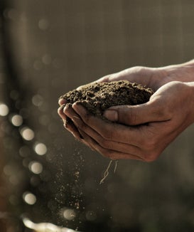 La tutela del suolo nell'arco alpino al centro di un convegno internazionale il 29 settembre a Bolzano (Foto: ASP/Unsplash)