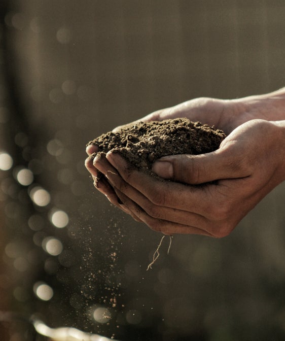 La tutela del suolo nell'arco alpino al centro di un convegno internazionale il 29 settembre a Bolzano (Foto: ASP/Unsplash)