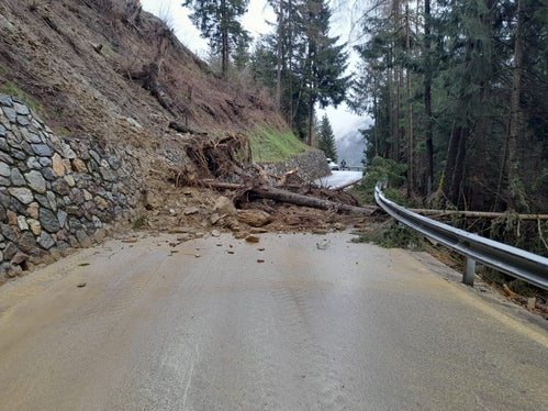 Eine Mure hat am Ostersonntag die Landesstraße zur Kuppelwieseralm Ulten verlegt. (Foto: LPA/Landesstraßendienst)