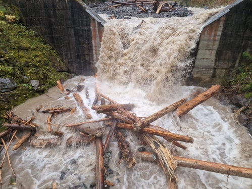 Wildbachverbauung im Einsatz: EIne Gruppe des Landesamtes für Wildbachverbauung Nord mit Vorarbeiter Otto Gruber hat das am 31. Oktober angeschwemmte Wildholz in den beiden Rückhaltebecken im Puflerbach in Kastelruth (im Bild) noch am selben Tag ausgeräumt und Verklausungen an Brücken entfernt, um die Sicherheit wiederherzustellen. (Foto: LPA/Agentur für Bevölkerungsschutz)