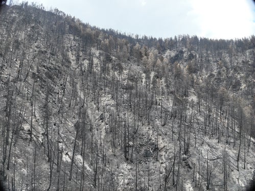 145 ettari di bosco sono andati in fumo. (Foto: USP/Ispettorato forestale di Silandro)