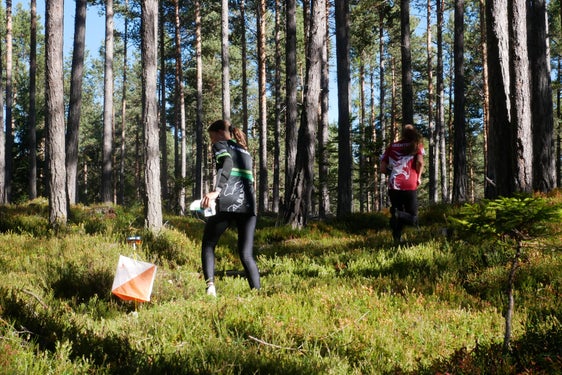 Hunderte Orientierungsläuferinnen und -läufer aus den Regionen der Arge Alp, aus italienischen Regionen und  aus Thurgau und Finnland waren in den vergangenen Tagen in Steinegg im Einsatz. (Foto: LPA/ARGE ALP)