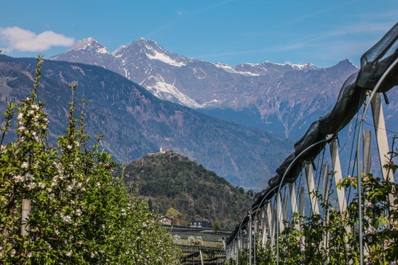Immagine del mese di aprile 2026: Prissiano. (Foto: USP/Martin Geier)