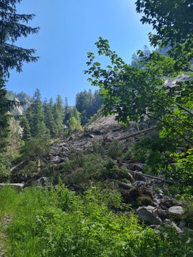 Das Landesamt für Wildbachverbauung Ost wird einen Ablenkdamm unterhalb des mobilisierten Materials errichten, damit nach einem Starkregen das Wasser wieder in das Bachbett eingeleitet wird. (Foto: LPA/ Landesamt für Wildbach- und Lawinenverbauung Ost in der Agentur für Bevölkerungsschutz)