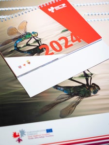 Le calënder dl'Euregio ó ester espresciun dla colaboraziun sura i confins fora y spidl dla diversité dla contrada. Le calënder 2024 é sëgn danman y al é da ciafé debann. (Foto: USP/Fabio Brucculeri)