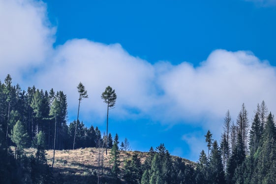 Wetterbild des Monats September 2026: Trudner Horn (Foto: LPA/Martin Geier)