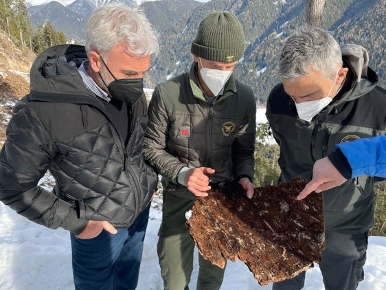 Vorbeugemaßnahmen treffen, um eine weitere Verbreitung des Borkenkäfers und die Schwächung der Wälder zu verhindern: LR Schuler (l.) mit Anton Rieper und Abteilungsdirektor Unterthiner (r.) beim Lokalaugenschein. (Foto: LPA/G.News)