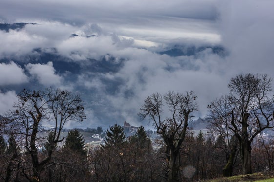 Bild des Monats März 2025: Prissian am 10. März 2025. (Foto: Martin Geier)