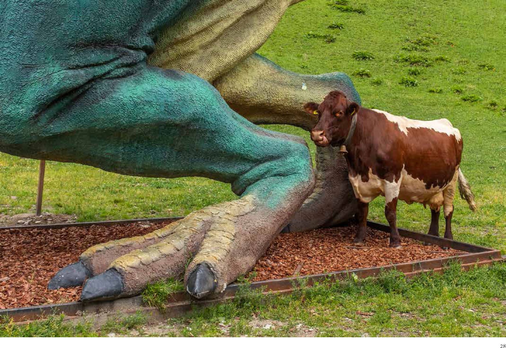 Una parte della mostra speciale nella Casa del Parco Naturale Tre Cime Il mondo non basta. (Foto: Fabian Haspinger)